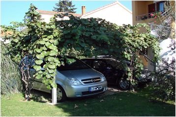 Kroatië Privát Biograd na Moru, Exterieur